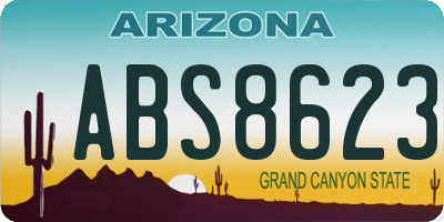 AZ license plate ABS8623