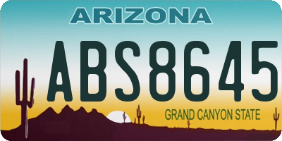 AZ license plate ABS8645