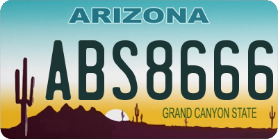 AZ license plate ABS8666