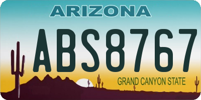 AZ license plate ABS8767