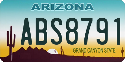 AZ license plate ABS8791