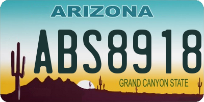 AZ license plate ABS8918