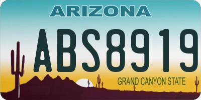 AZ license plate ABS8919