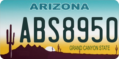 AZ license plate ABS8950
