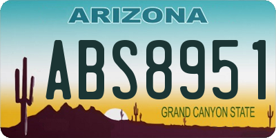 AZ license plate ABS8951