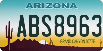 AZ license plate ABS8963