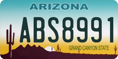 AZ license plate ABS8991
