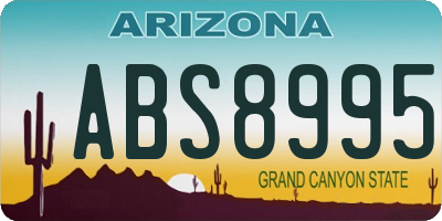 AZ license plate ABS8995