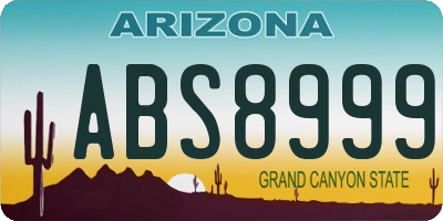 AZ license plate ABS8999