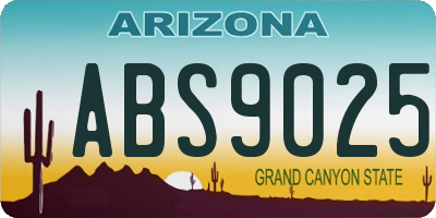 AZ license plate ABS9025