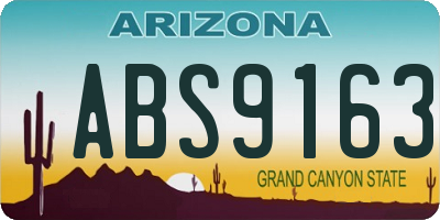AZ license plate ABS9163