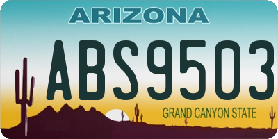 AZ license plate ABS9503