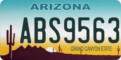 AZ license plate ABS9563