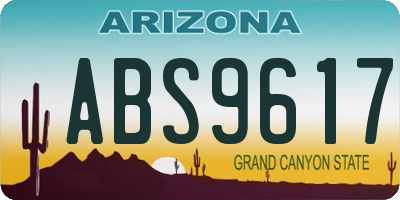 AZ license plate ABS9617
