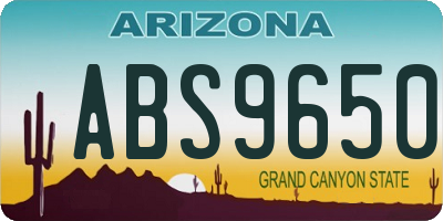 AZ license plate ABS9650