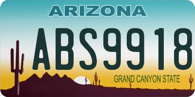 AZ license plate ABS9918