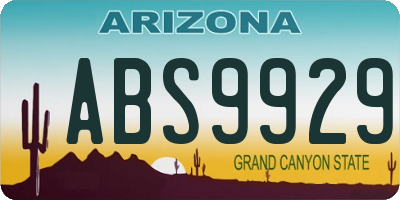 AZ license plate ABS9929