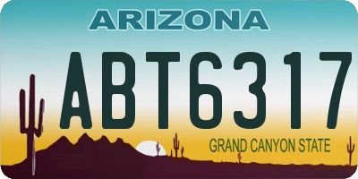 AZ license plate ABT6317