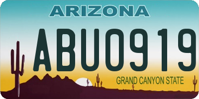 AZ license plate ABU0919