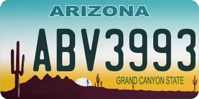 AZ license plate ABV3993