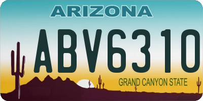 AZ license plate ABV6310