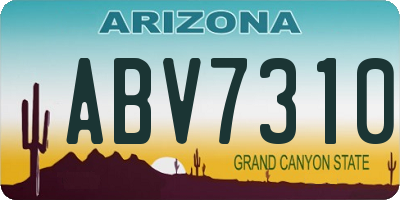 AZ license plate ABV7310