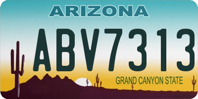 AZ license plate ABV7313