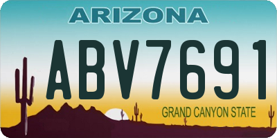 AZ license plate ABV7691
