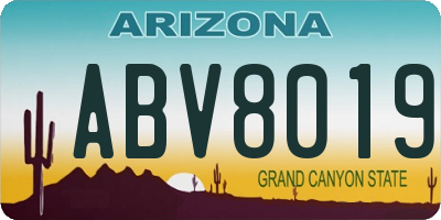 AZ license plate ABV8019