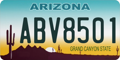 AZ license plate ABV8501