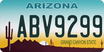 AZ license plate ABV9299