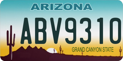 AZ license plate ABV9310