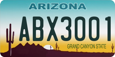 AZ license plate ABX3001