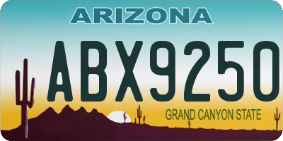 AZ license plate ABX9250