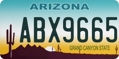 AZ license plate ABX9665