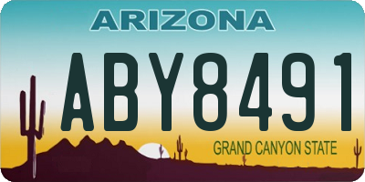 AZ license plate ABY8491