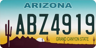 AZ license plate ABZ4919