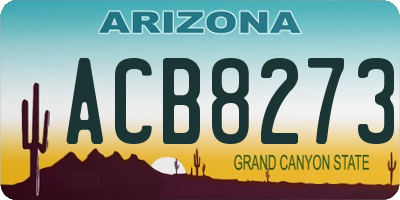 AZ license plate ACB8273