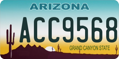 AZ license plate ACC9568