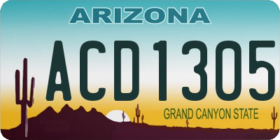 AZ license plate ACD1305