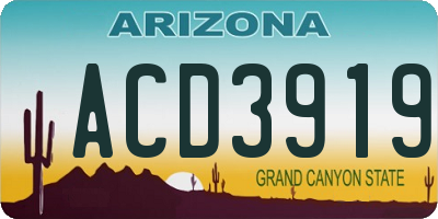 AZ license plate ACD3919