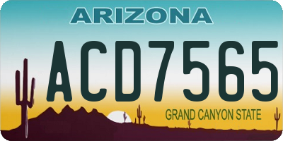 AZ license plate ACD7565