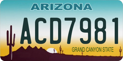 AZ license plate ACD7981