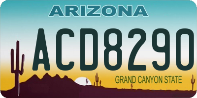 AZ license plate ACD8290