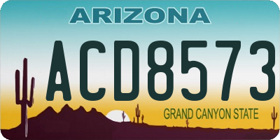 AZ license plate ACD8573