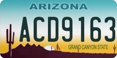 AZ license plate ACD9163