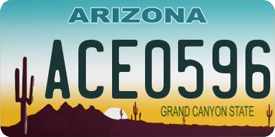 AZ license plate ACE0596