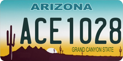 AZ license plate ACE1028
