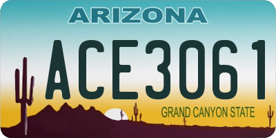 AZ license plate ACE3061
