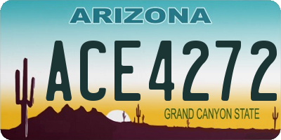 AZ license plate ACE4272